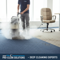 Professional carpet deep cleaning with steam cleaner