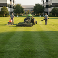 Professional turf management with fertilization and aeration